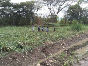 Primer cambuche construido en las nuevas fincas.