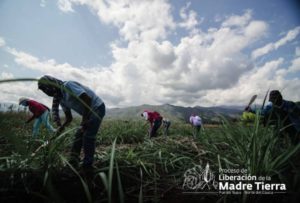 Foto: Minga Comunicativa del Proceso de Liberación de la Madre Tierra