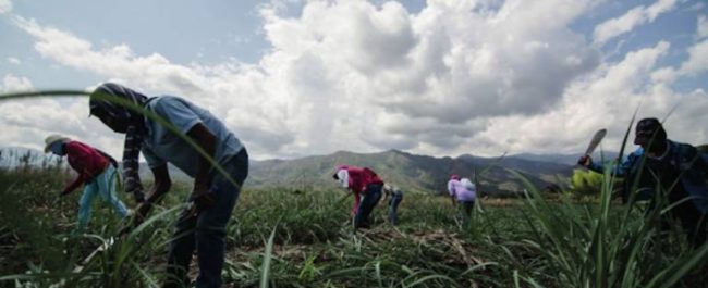 Foto: Minga Comunicativa del Proceso de Liberación de la Madre Tierra